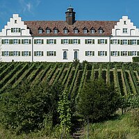Tage der Stille